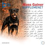 مکمل عضله‌ساز سگ بایو پت مدل Mass Gainer وزن 400 گرم