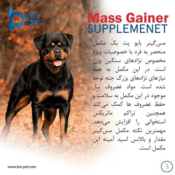 مکمل عضله‌ساز سگ بایو پت مدل Mass Gainer وزن 400 گرم
