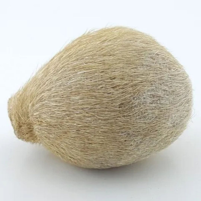 ناف آهو