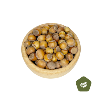 فندوق ارگانیک اشکور