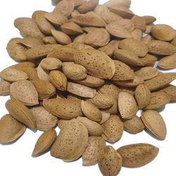 بادام درختی با پوست ایرانی ـ 1000 گرم