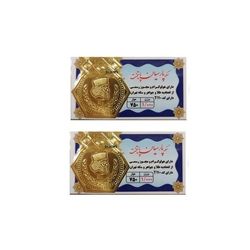 سکه طلا پارسیان برند پارسیان پایتخت به وزن 1 گرم بسته دو عددی