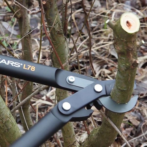 قیچی شاخه زن فیسکارس مدل L78-112590