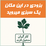 سبزی کرفس سرخ شده – 200 گرم