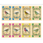 پیپمتز (PIEPMATZ)