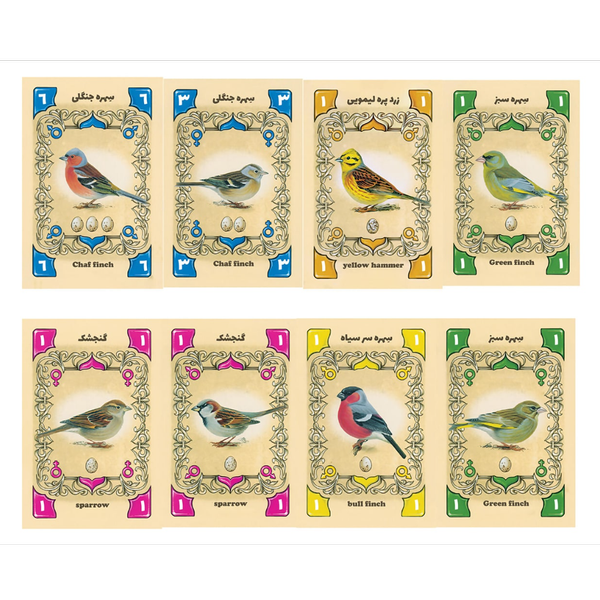 پیپمتز (PIEPMATZ)