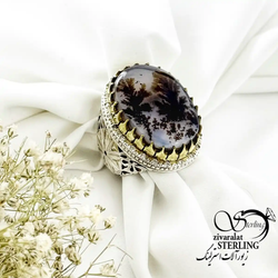 انگشتر نقره عقیق شجر قائن رکاب شبکه دستساز محمدی کد 20188