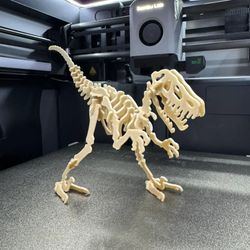 کیت کارت ولوسیراپتور | Velociraptor Kit Card
