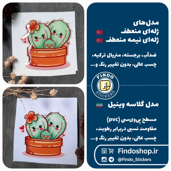 استیکر کاکتوس 🌵