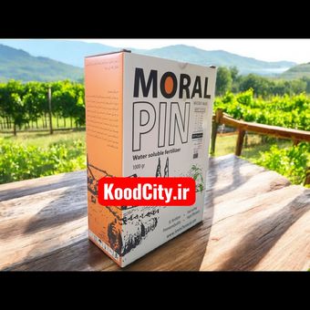 ریزمغذی مورال پین