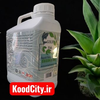 کود ماهی گلد فیش