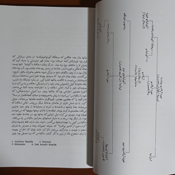 کتاب صد سال تنهایی | ترجمه بهمن فرزانه