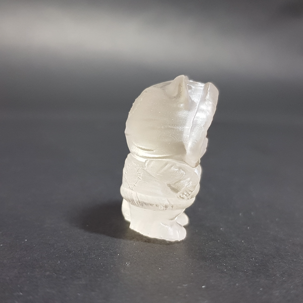 فیگور گربه هودی پوش