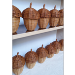 بلوط حصیری سایز متوسط استودیو راح