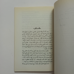 کتاب سگ ولگرد اثر صادق هدایت انتشارات جاویدان