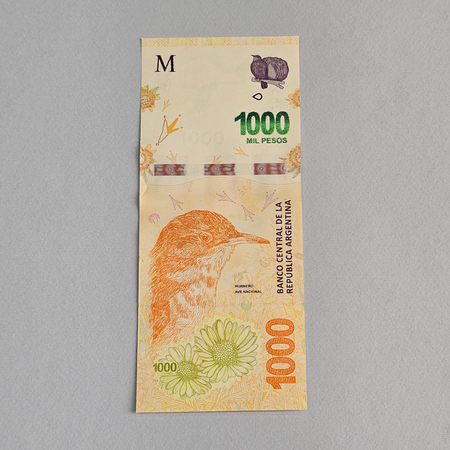 اسکناس ارژانتین رقم 1000 بانکی