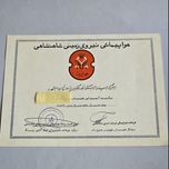 گواهی هزارساعت پرواز هوانیروز دوره پهلوی