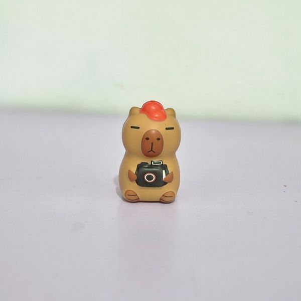 اسکوشی کپی بارا