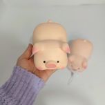 اسکوشی خوک تپل بامزه