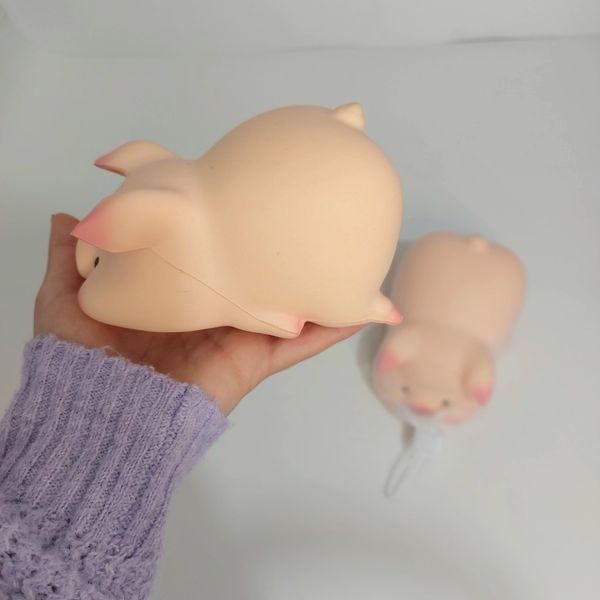 اسکوشی خوک تپل بامزه