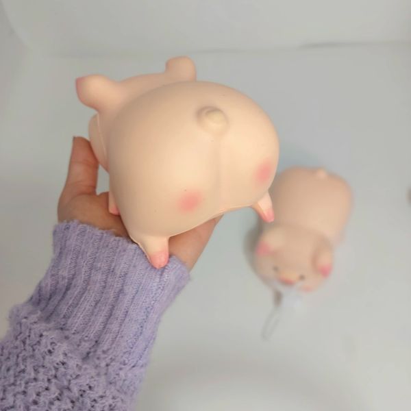 اسکوشی خوک تپل بامزه