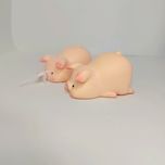 اسکوشی خوک تپل بامزه