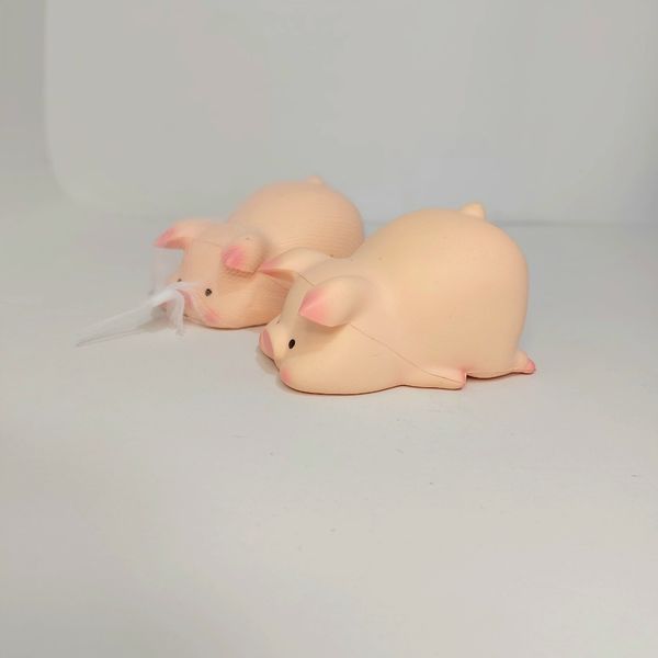 اسکوشی خوک تپل بامزه