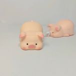 اسکوشی خوک تپل بامزه