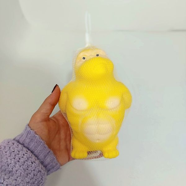 اسکوشی میمون بدنساز