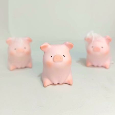 اسکوشی (فیجت) خوک نشسته کوچک