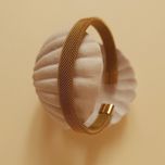 بنگل حصیری طلایی