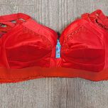 12 عدد سوتین طرح پرستو سایز 75 و 80 و 85