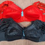 12 عدد سوتین طرح پرستو سایز 75 و 80 و 85