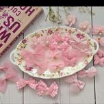 گیره انبری کوچک