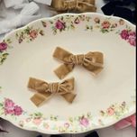 گیره انبری مخملی