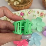 کلیپس کوچک گل