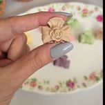 کلیپس کوچک پاپیون