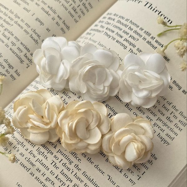 گیره فرانسوی کلاسیک