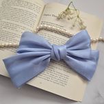 گیره فرانسوی ساتنی