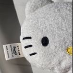 مینی بگ کیتی