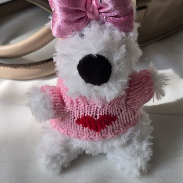 چارم بگ سگ پلیور پوش