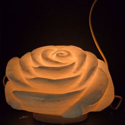 گل رز سنگ نمک هیمالیا کد2
