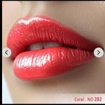 رژ لب مایع ابریشمی ساتین سرژه کد 202 (Coral)
