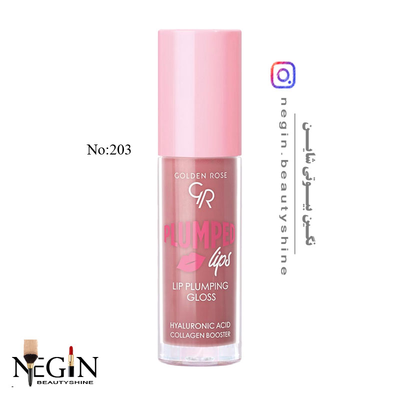 لیپ گلاس حجم دهنده گلدن رز اصل(شماره 203 )