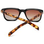 عینک آفتابی ویفرر (Wayfarer) آلبرت وگ مدل S31127C3 Acetate Avantgarde Visionary