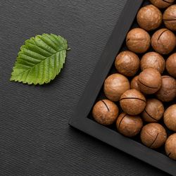 ماکادمیا (250 گرم)