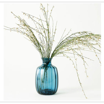 گلدان ایکیا مدل TONSATTA