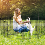 پارک بازی فلزی سگ گربه حیوانات خانگی