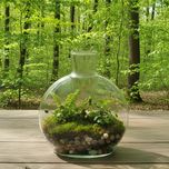 انتالیا کوچک