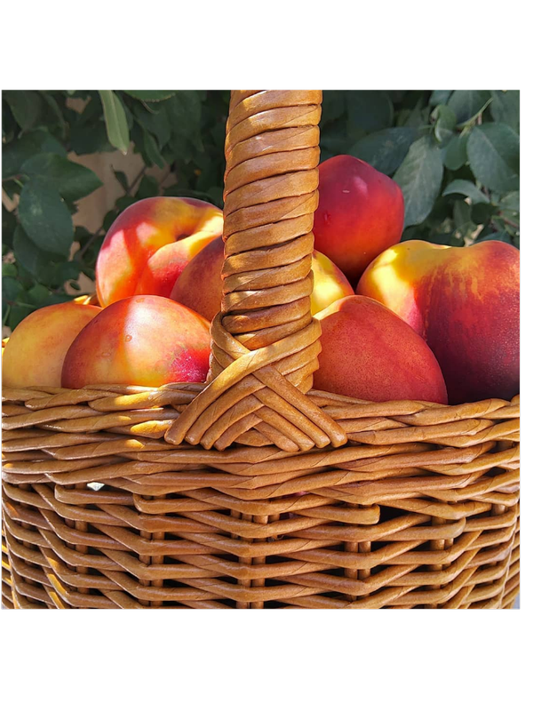 سبد طرح لبخند حصیری استودیو راح